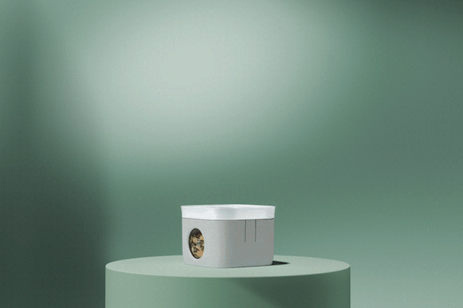 Food Storage Containers