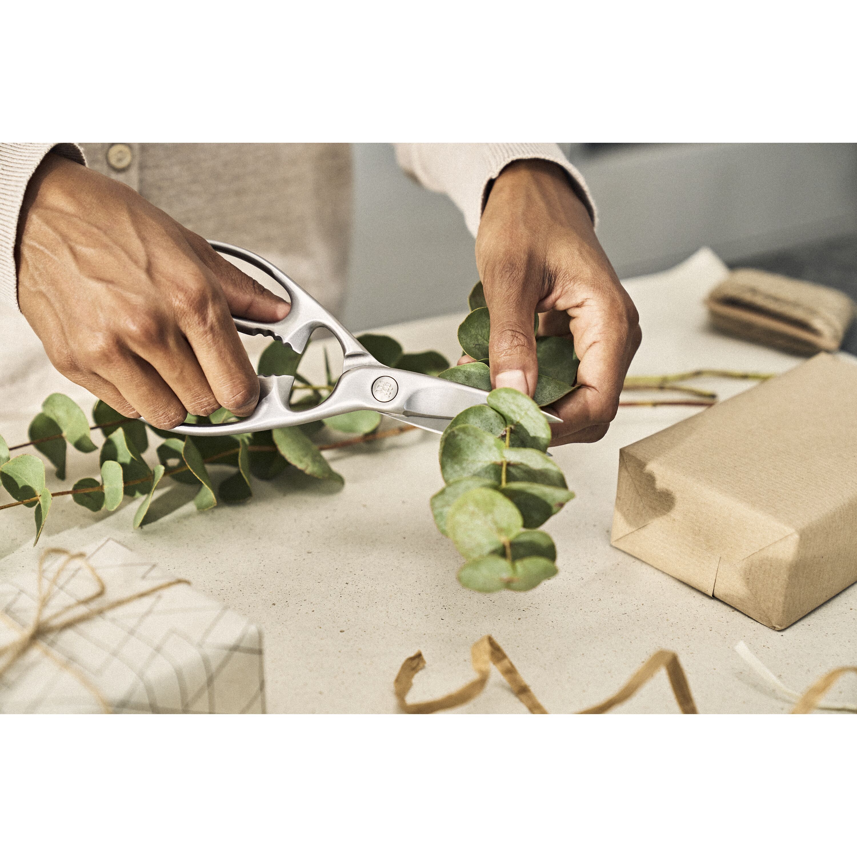 ZWILLING TWIN Select Çok Amaçlı Makas satın al | Zwilling