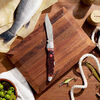 Outdoor, 4-inch, Folding Hunter Pocket Knife With Leather Sheath, Brown Jigged Bone, small 2