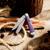 Outdoor, 3.5-inch, Trapper Folding Pocket Knife, Purple, small 8