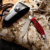 Outdoor, 4-inch, Folding Pocket Knife With Leather Sheath, Red Jigged Bone, small 3