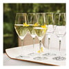 Prédicat Glassware, 9.5-oz / 6-pc  Champagne Set, small 4