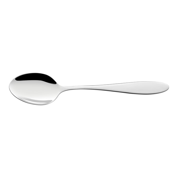 Modest, 16-pcs polished Dinner set, large 4
