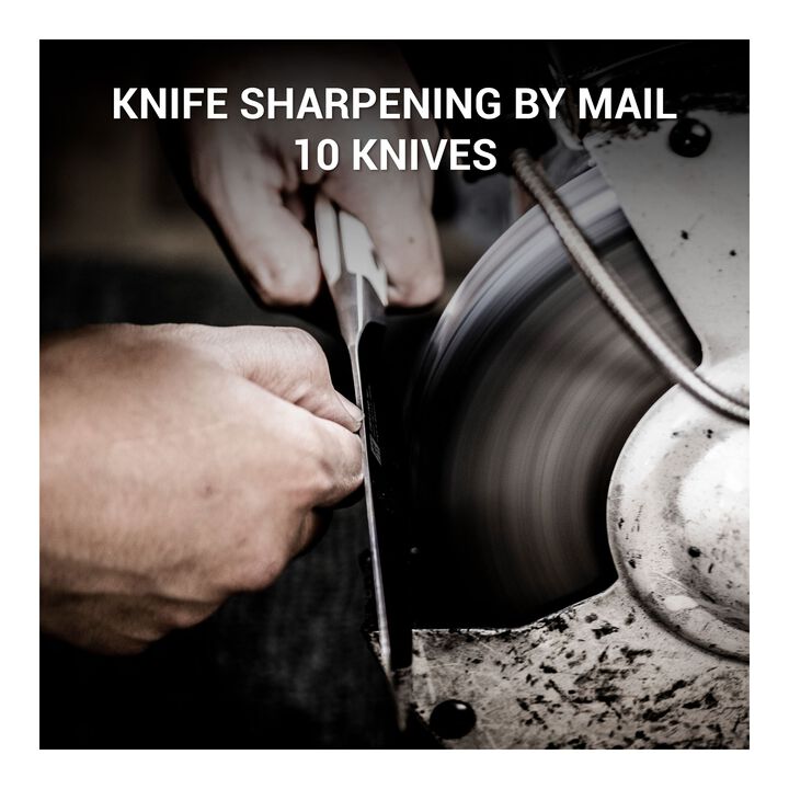 Sharpening Service, Knife Aid Professional Knife Sharpening by Mail, 10 knives, large 1