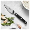 3-inch, Paring knife - Visual Imperfections,,large