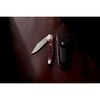 Outdoor, 4-inch, Folding Hunter Pocket Knife With Leather Sheath, Brown Jigged Bone, small 5