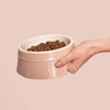 Ceramique, Pet Bowl 400 ml, ceramic, light pink, small 5