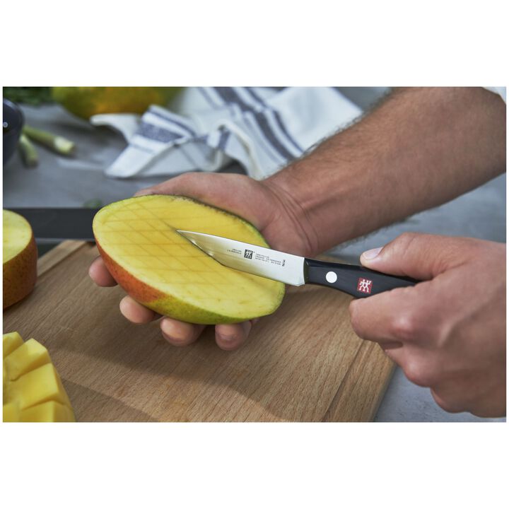 TWIN Pollux, 10 cm Paring knife, large 4