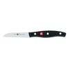 TWIN Pollux, 8 cm Vegetable knife, small 1