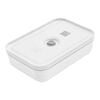 Fresh & Save, L Flat Vacuum lunch box, plastic, white-grey, small 1