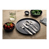 Modest, 16-pcs polished Dinner set, small 8