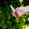 Outdoor, 3.5-inch, Hunting Knife With Leather Sheath, Red Jigged Bone, small 3