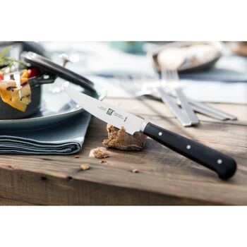 Biftek Bıçağı Seti | paslanmaz çelik | 4-parça,,large 3