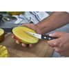 TWIN Pollux, 4 inch Paring knife, small 4