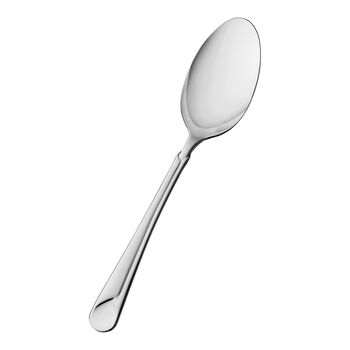 Serving spoon polished,,large 1