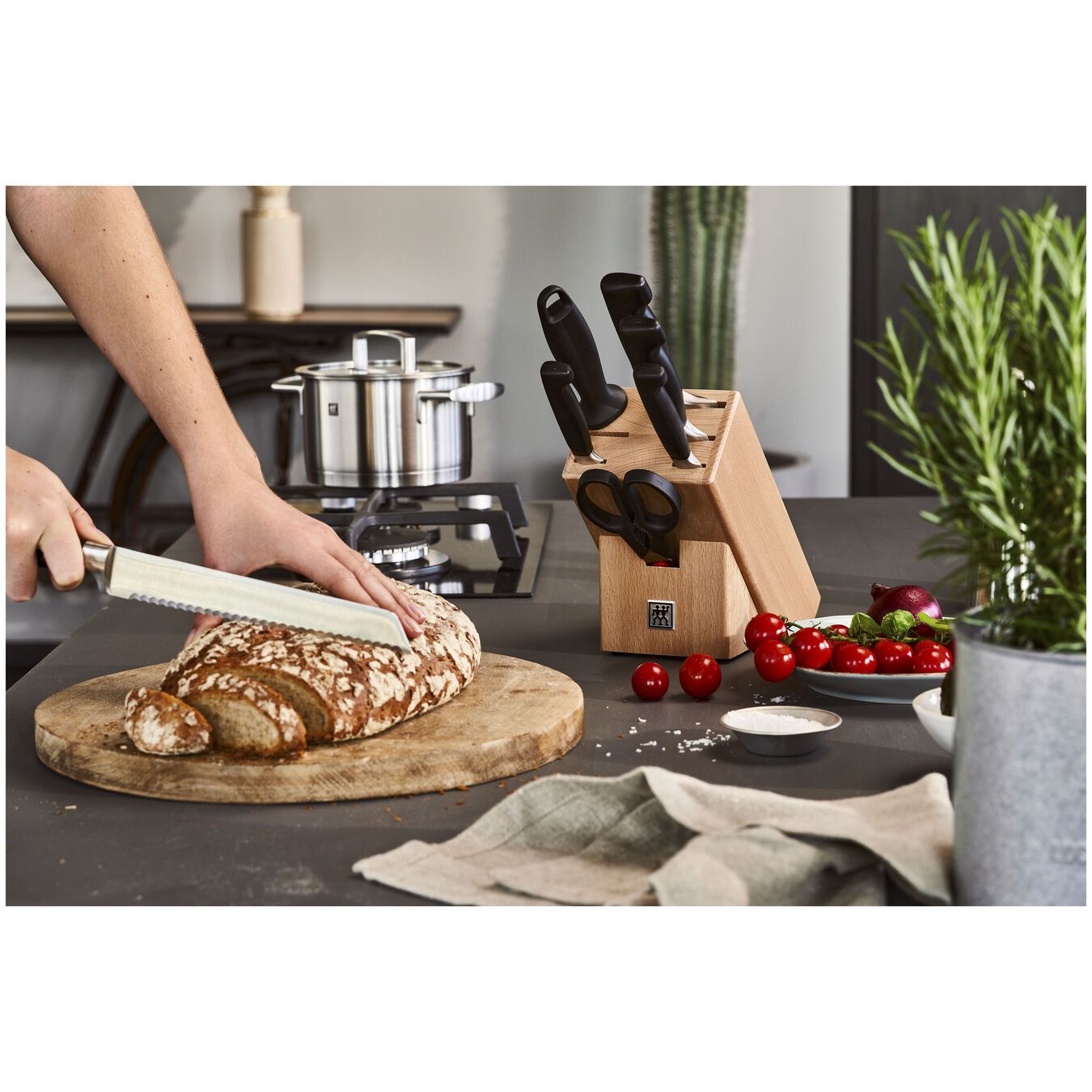 Buy ZWILLING Four Star Knife block set