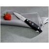 Signature, 2 Piece, Knife set, small 6