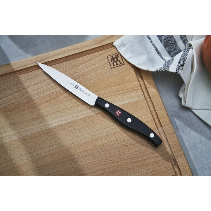 TWIN Pollux, 10 cm Paring knife, large 2
