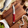 Outdoor, 4-inch, Folding Pocket Knife With Leather Sheath, Red Jigged Bone, small 2