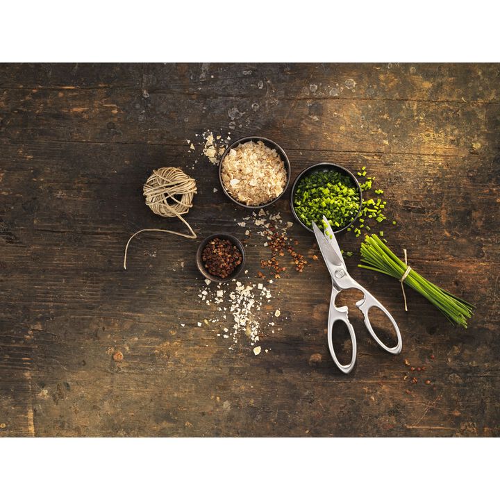 Shears & Scissors, TWIN Select Kitchen Shears, large 2