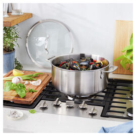 8 qt, Stainless Steel Dutch Oven