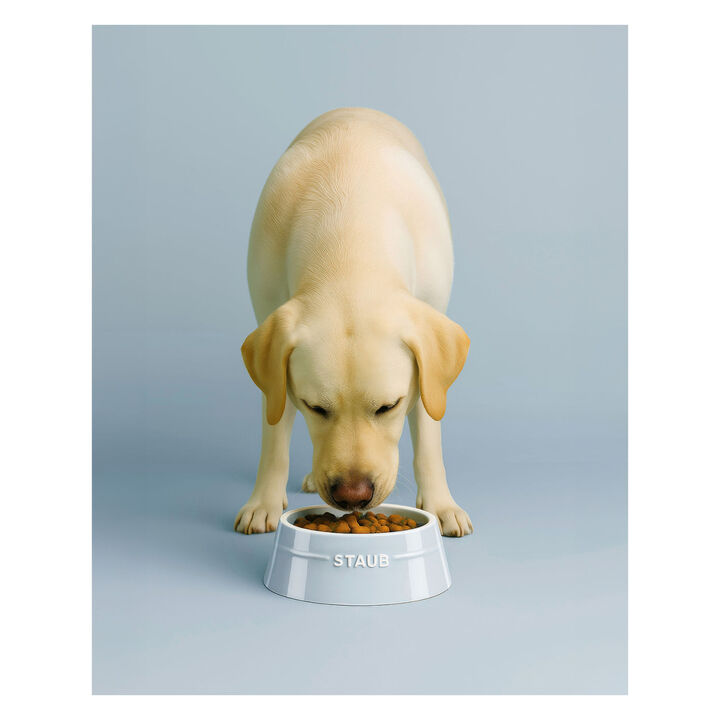 Ceramique, Pet Bowl 400 ml, ceramic, light blue, large 4