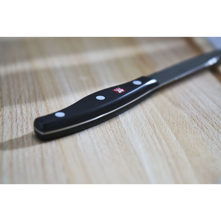 TWIN Pollux, 10 cm Paring knife, large 3