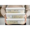 Fresh & Save, Set de lunch box sous vide, 3 pi&egrave;ces / L plate, blanc-gris, plastique, small 2