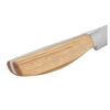 Pakka, 9 cm Paring knife, small 5