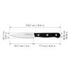 Solution, 4-inch, Paring Knife, small 2