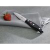 TWIN Signature, 4-inch, Paring Knife - Factory Second, small 2