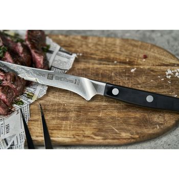 Biftek Bıçağı Seti | Özel Formül Çelik | 4-parça,,large 2