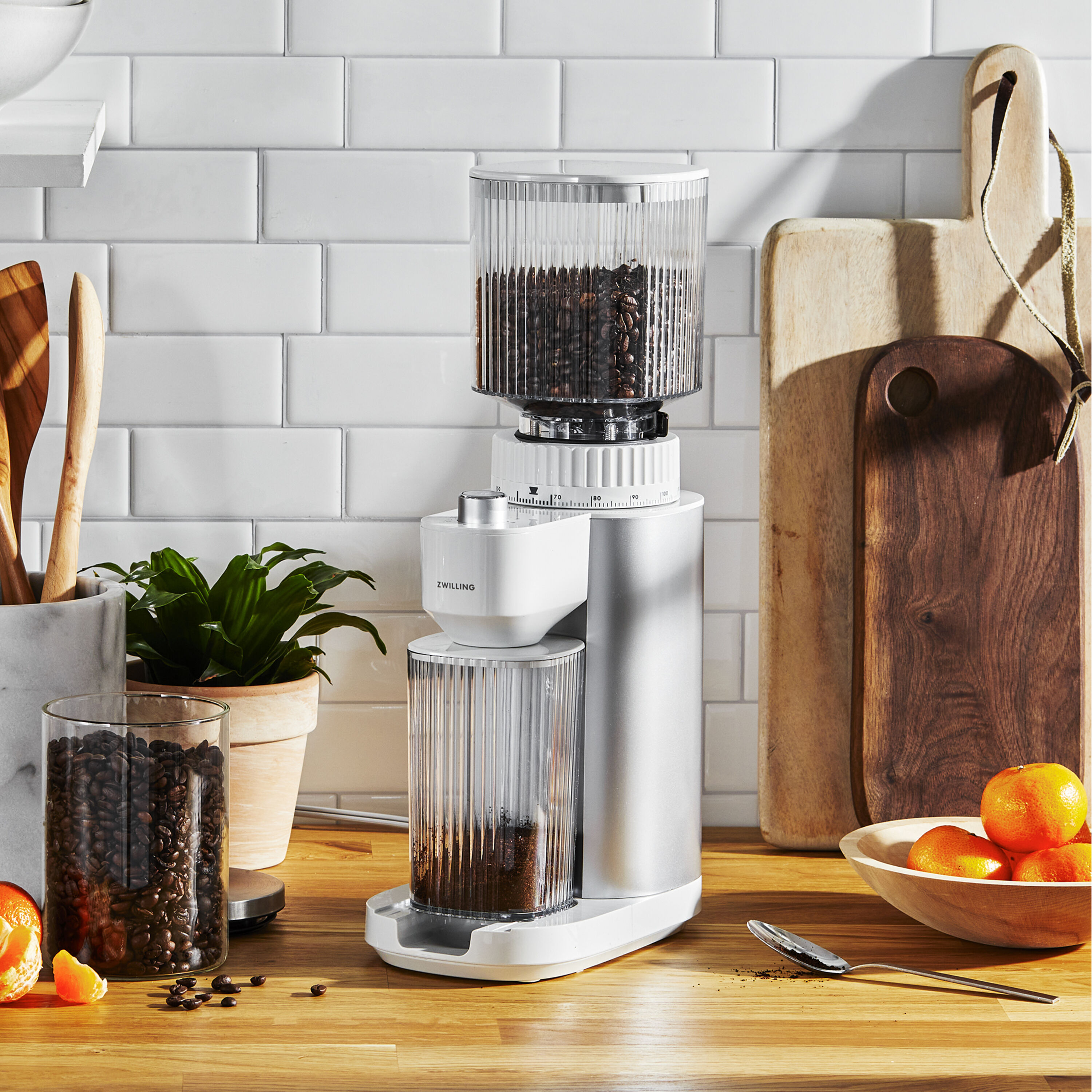Buy ZWILLING Enfinigy Coffee grinder 