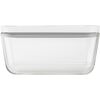 Fresh & Save, M Vacuum box, glass, grey, small 4