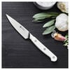 Pro le blanc, 4 inch Paring knife, small 6