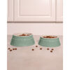 Ceramique, Pet Bowl 400 ml, ceramic, eucalyptus, small 9