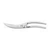 24 cm Stainless steel Poultry shears,,large