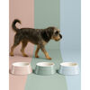 Ceramique, Pet Bowl 400 ml, ceramic, light blue, small 9