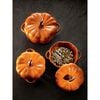 Ceramic - Specialties, 0.5 qt, Pumpkin, Petite Cocotte, Burnt Orange, small 10