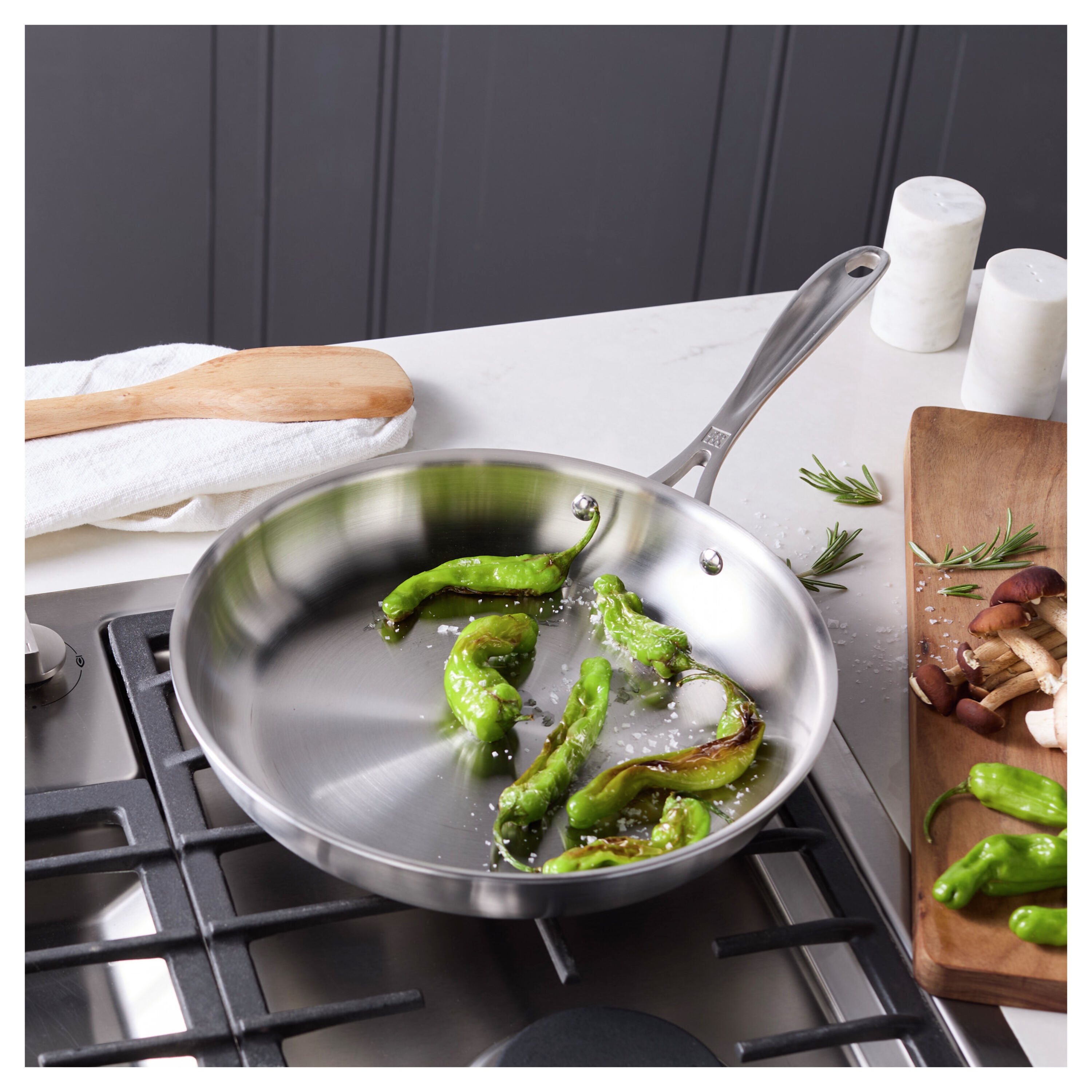 Buy ZWILLING Spirit 3-Ply 10-inch, 18/10 Stainless Steel, Frying