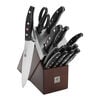 TWIN Signature, 15-pc, Knife Block Set With KiS Technology, Brown, small 1