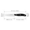 Definition, 4-inch, Paring Knife, small 2