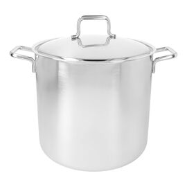 Demeyere Apollo 7, 36 cm 18/10 Stainless Steel Stock pot with lid silver