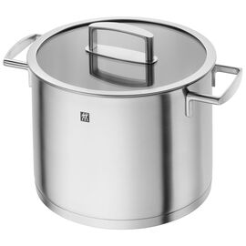 ZWILLING Vitality, 8 l 18/10 Stainless Steel stock pot with glass lid