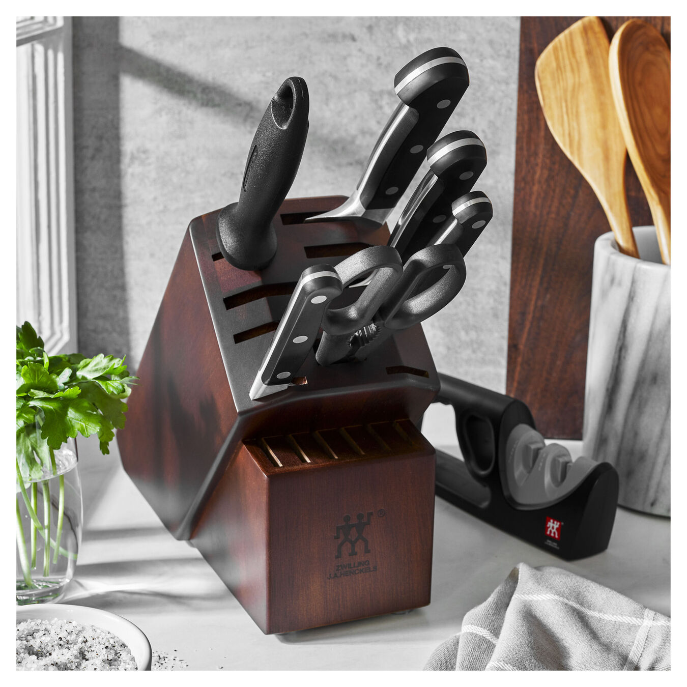 Buy ZWILLING Pro Knife block set