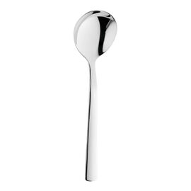 Cream and soup spoon polished