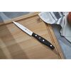 TWIN Pollux, 4 inch Paring knife, small 2
