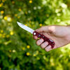 Outdoor, 3-inch, Landman Sodbuster Folding Pocket Knife, Red Jigged Bone, small 4