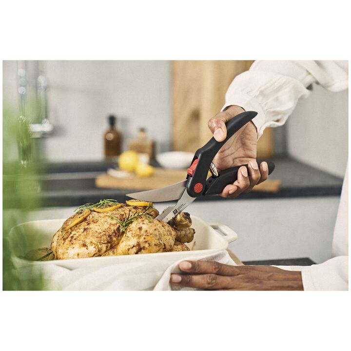 Geflügelschere 25 cm, Kunststoff, large 4