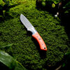 Outdoor, 3.5-inch, Hunting Knife With Leather Sheath, Orange G10, small 8